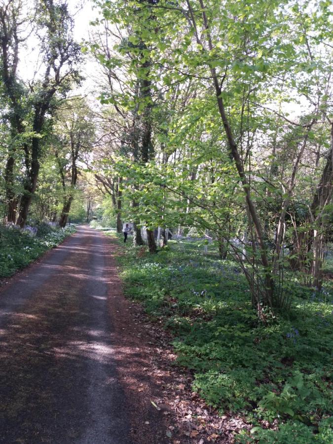 La Parenthese Bois De Cise Ault Exterior foto