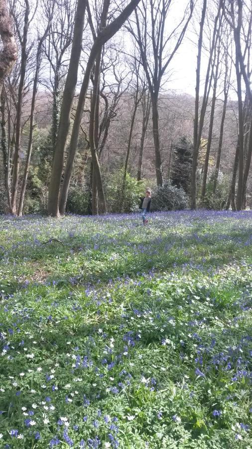La Parenthese Bois De Cise Ault Exterior foto