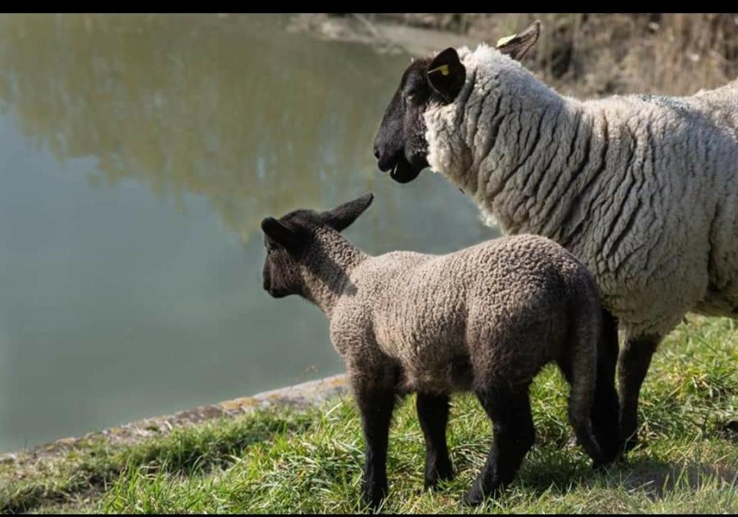 La Parenthese Bois De Cise Ault Exterior foto