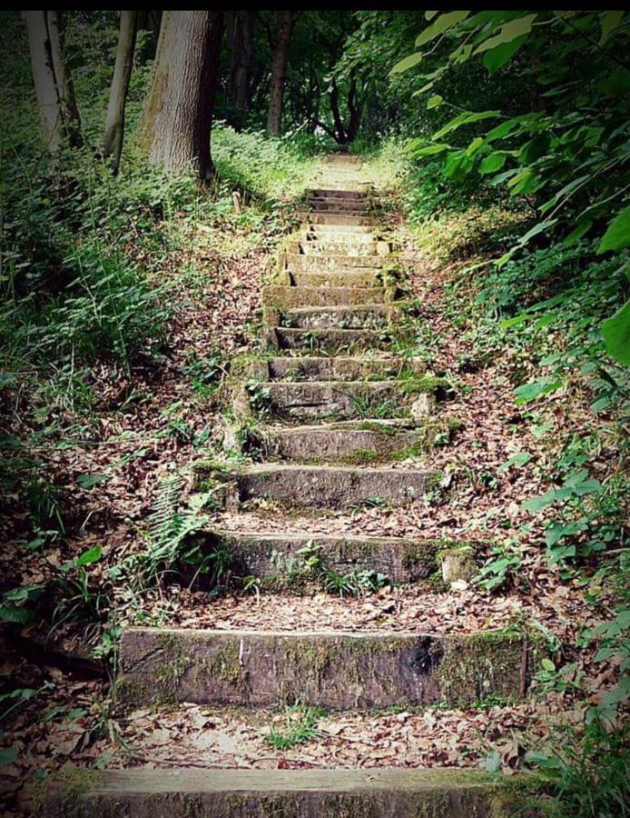 La Parenthese Bois De Cise Ault Exterior foto