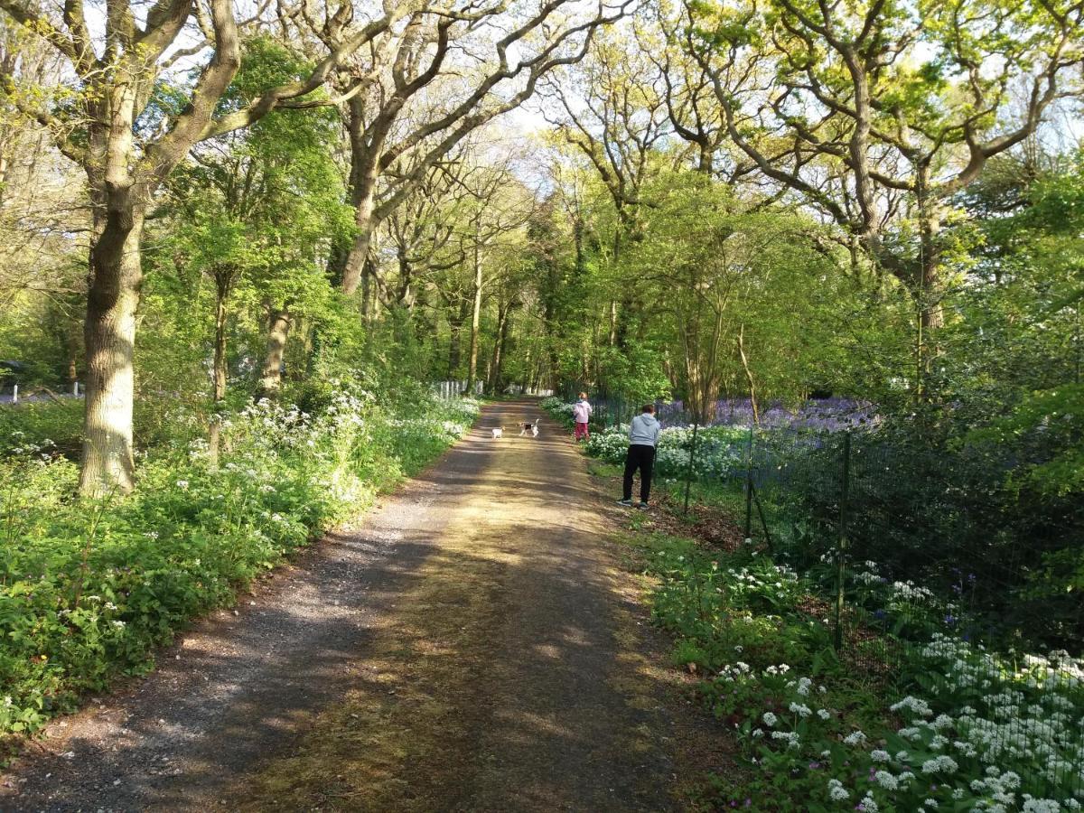 La Parenthese Bois De Cise Ault Exterior foto