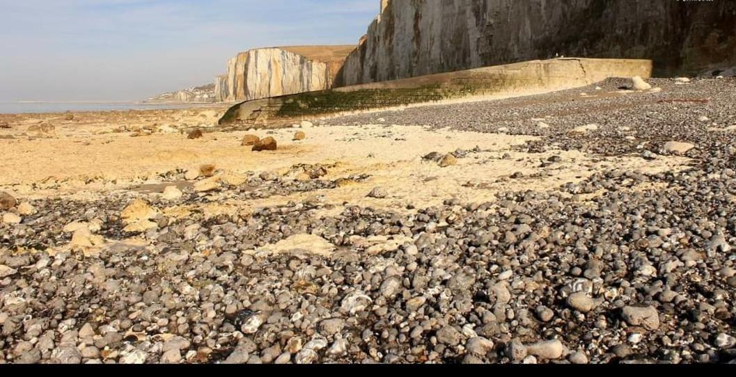 La Parenthese Bois De Cise Ault Exterior foto
